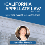 Jennifer Novak on Representing the Environment in Court