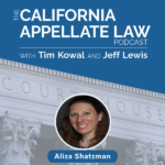 Harassment in the Judicial Workplace: Aliza Shatzman’s Discusses the Legal Accountability Project