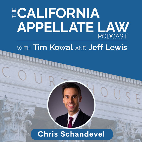 Appellate Argument Experience - Chris Schandevel