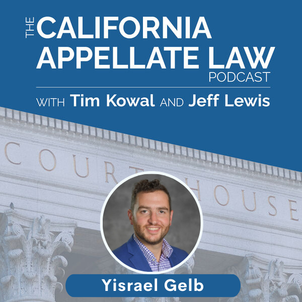 How appellate attorneys beat summary judgments - Yisrael Gelb